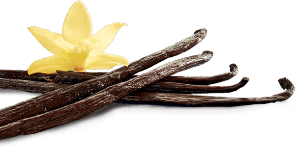 Vanilla