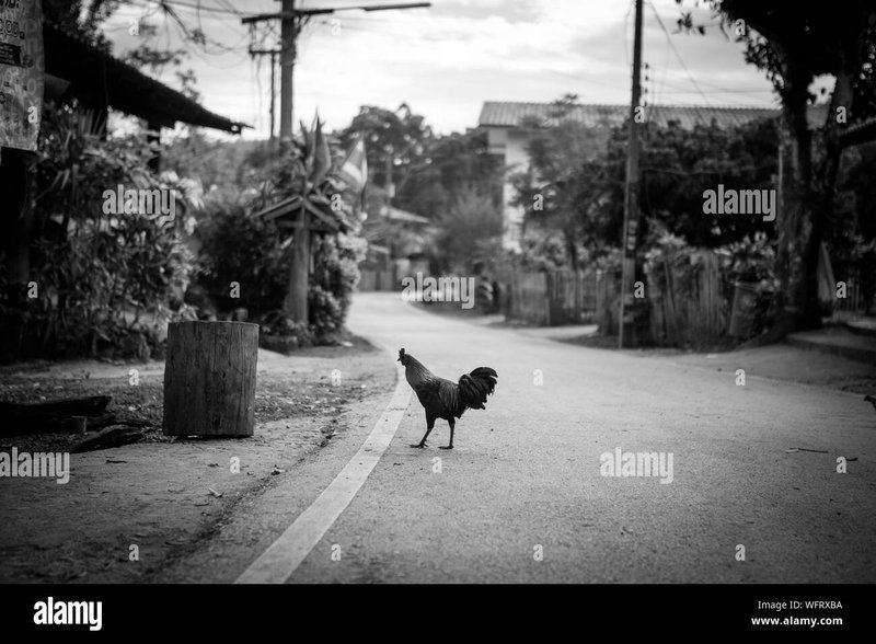 Chicken road online - Descubre El Exclusivo Juego de Casino Chicken Road en España en Línea